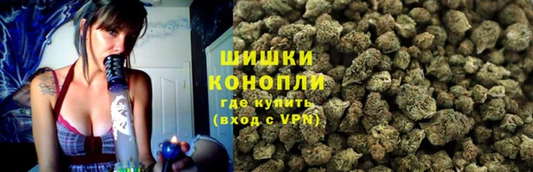 марки lsd Белокуриха