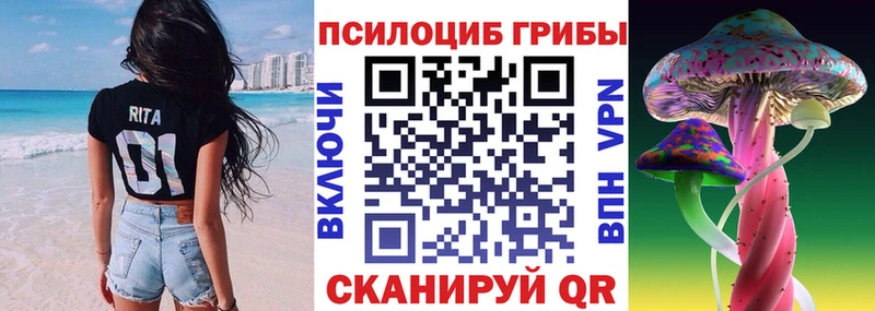 Псилоцибиновые грибы мухоморы  наркошоп  МЕГА ТОР  Черемхово 